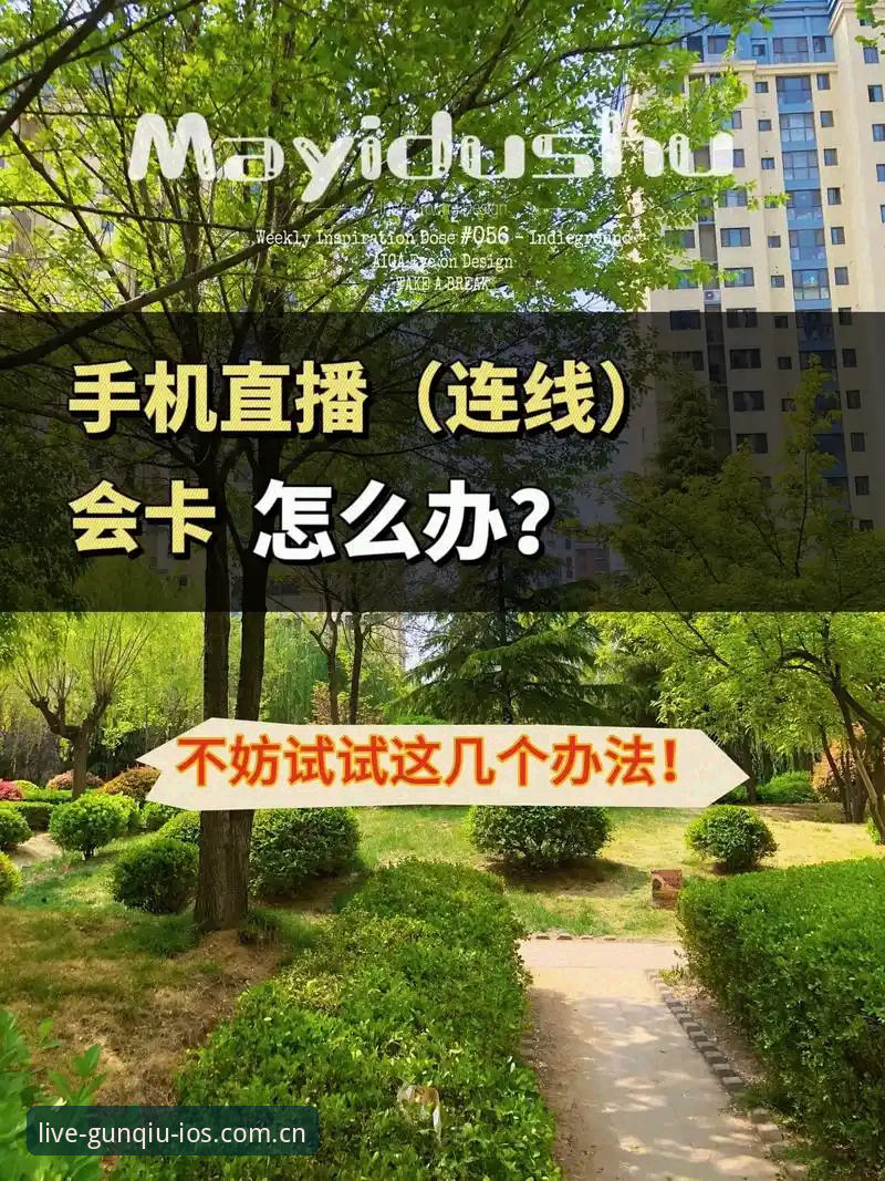 苹果手机滚球体育中国客户端实用技巧：告别卡顿直播，从这三点入手